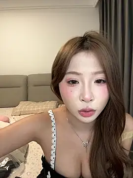 baozhizhi webcam
