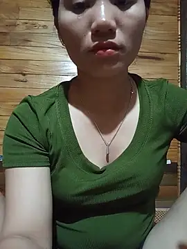 Td3di webcam