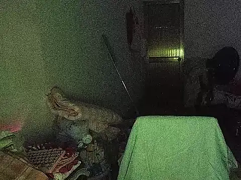 RebelAura webcam