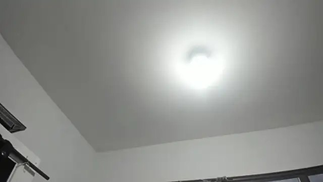 DilanAndKing webcam
