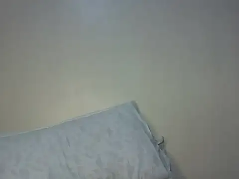 Fettysh webcam