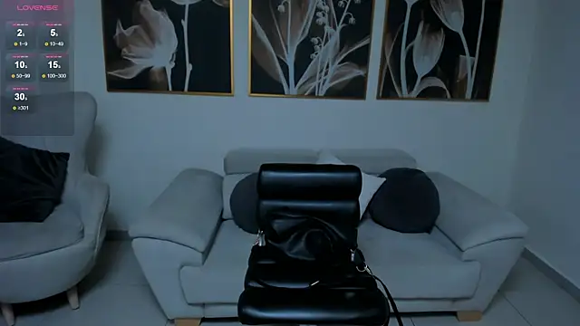 NovaSinclairX webcam