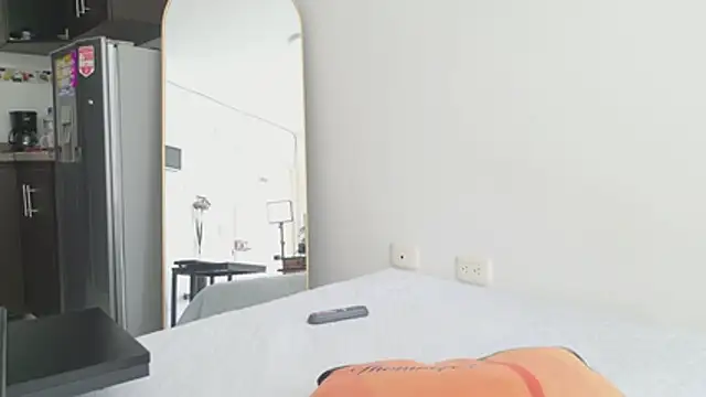 grey___27 webcam