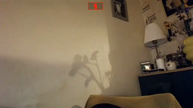 Hgay6935 webcam