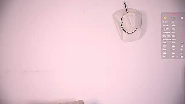 aydan_hw webcam