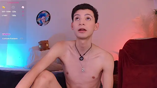 VicenteFerrer webcam