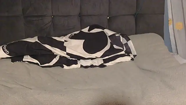 Dic_star webcam