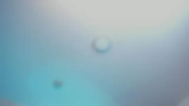 YariRose webcam