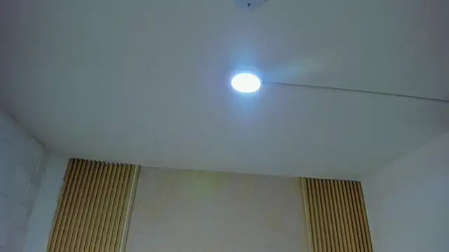 DAFNECOX webcam