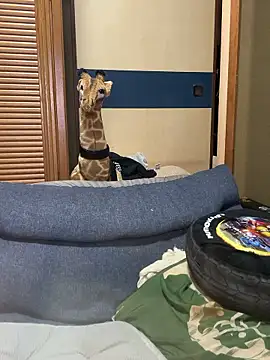 uta002418 webcam