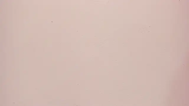 Sara_connor01 webcam