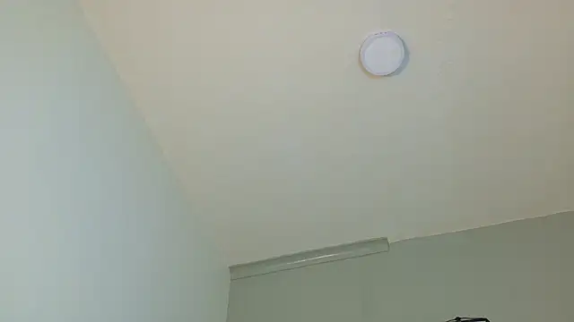 LexaDominant__ webcam