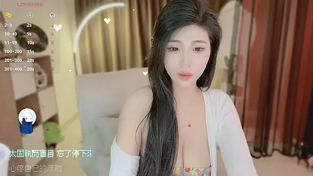 Vaidurya-Yolo webcam