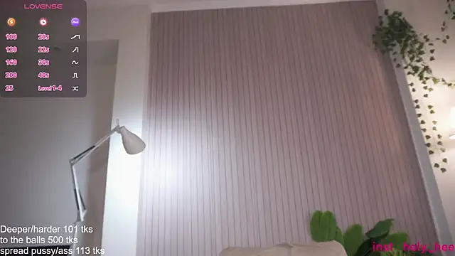 holyhee webcam