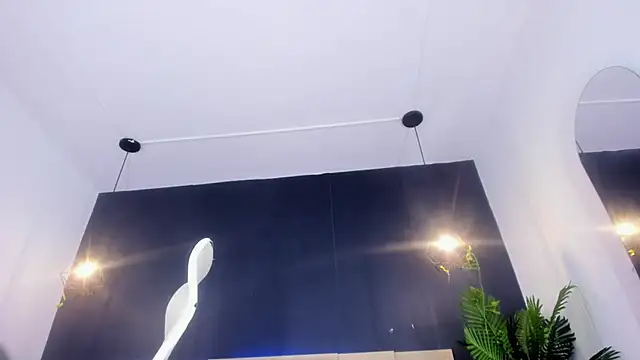 _sussan_miller webcam