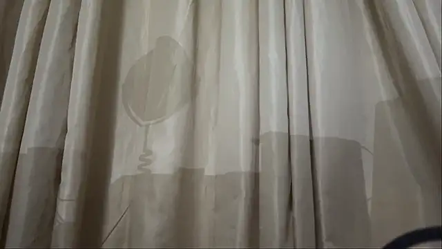 LeotaTick webcam