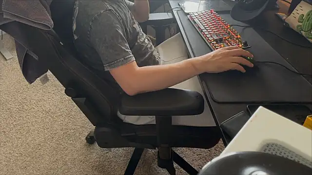 LatinFurBall webcam