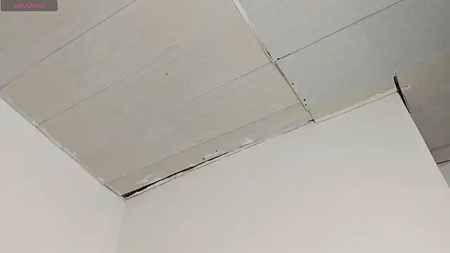 Sophia_Ebony webcam