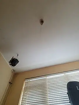 piercingpik webcam