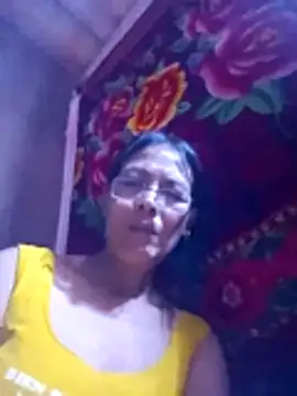 toyo_668 webcam