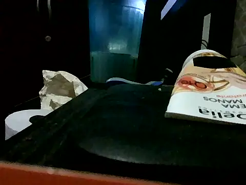 NinfomanoLOGAN webcam