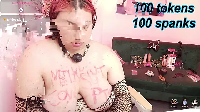Raven_velmont webcam
