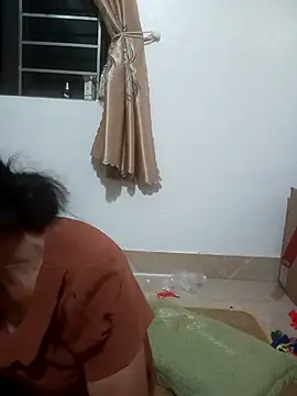Vieekee webcam