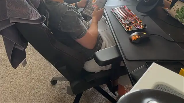 LatinFurBall webcam