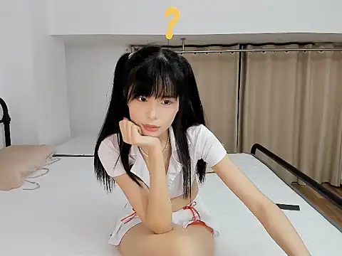 kk-010 webcam
