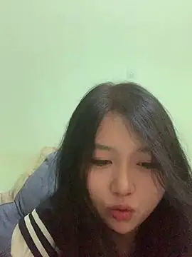cvc900 webcam