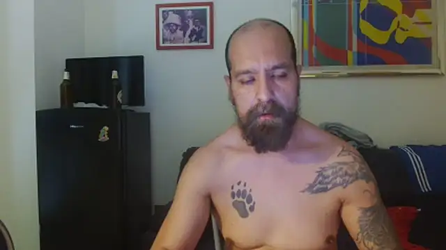 AMIRDIB2025 webcam