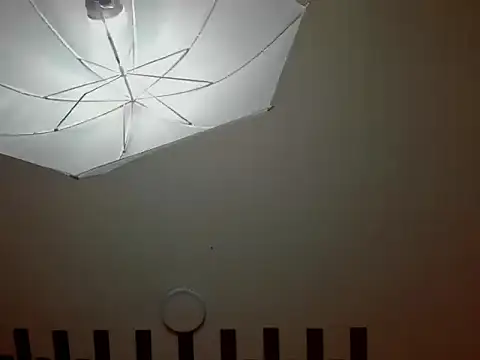 ZoeANDAlex_ webcam