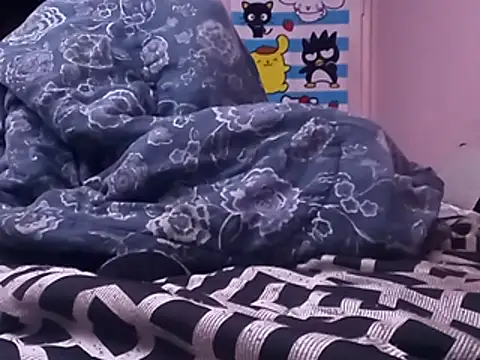 Blkstylion webcam