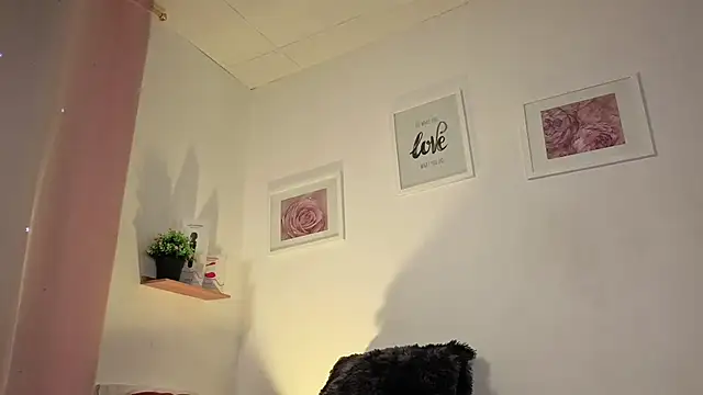 channel_conner05 webcam