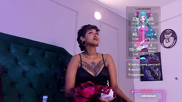 lanemugler webcam