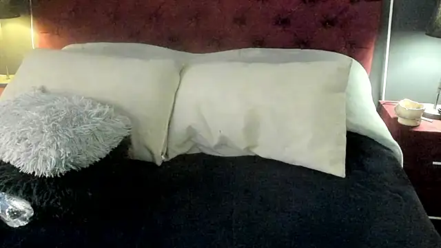 ZiaNoir_ webcam