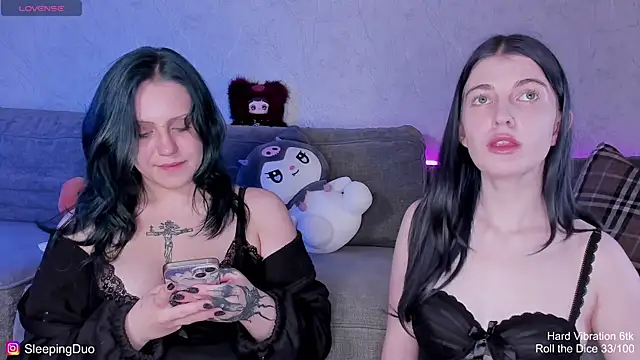 SleepingDuo webcam