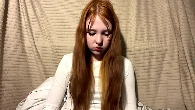 LittleEres webcam