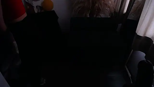 teylo80as webcam