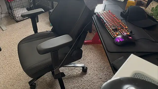 LatinFurBall webcam
