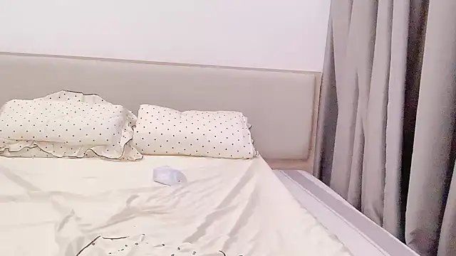 _LaVie_ webcam