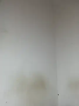 Hot-TEEE webcam