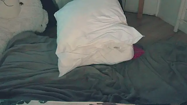 CeriseLapine webcam