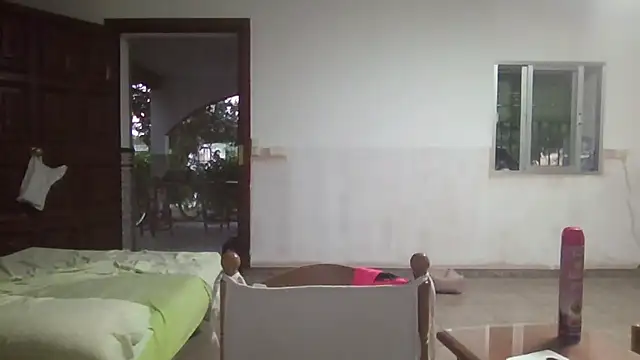 llopaco webcam