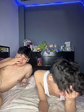 Kailertwink webcam