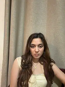 Lilywant webcam