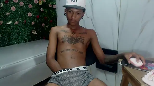 ManSant webcam