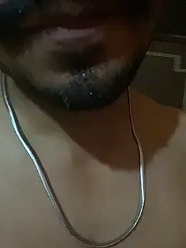 bull_inside29 (M young) - Rent