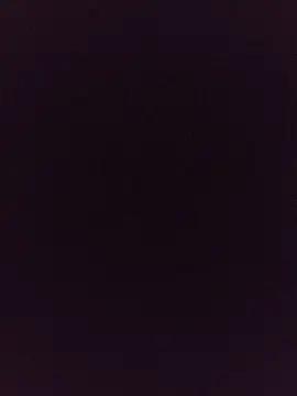 expatriates webcam