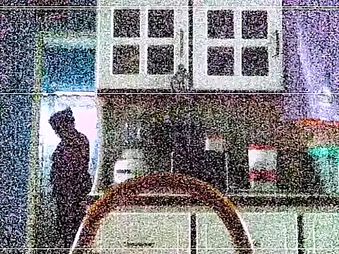 elturcudito webcam
